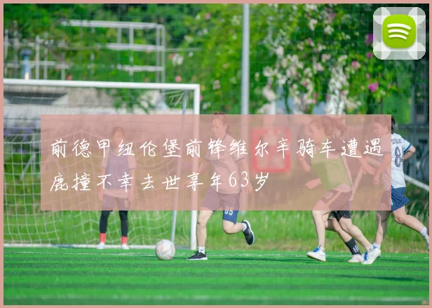 前德甲纽伦堡前锋维尔辛骑车遭遇鹿撞不幸去世享年63岁