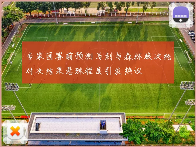 专家团赛前预测马刺与森林狼次轮对决结果悬殊程度引发热议