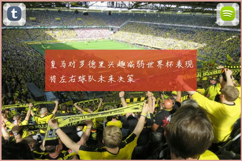 皇马对罗德里兴趣减弱世界杯表现将左右球队未来决策