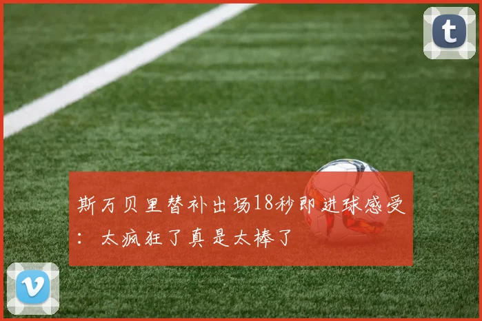 斯万贝里替补出场18秒即进球感受：太疯狂了真是太棒了